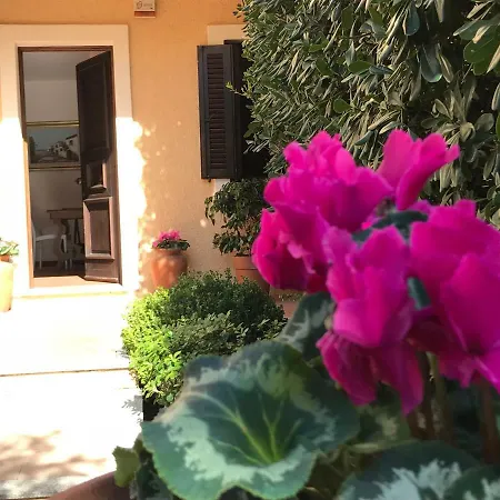 Hébergement de vacances CASA VACANZA Le Querce *